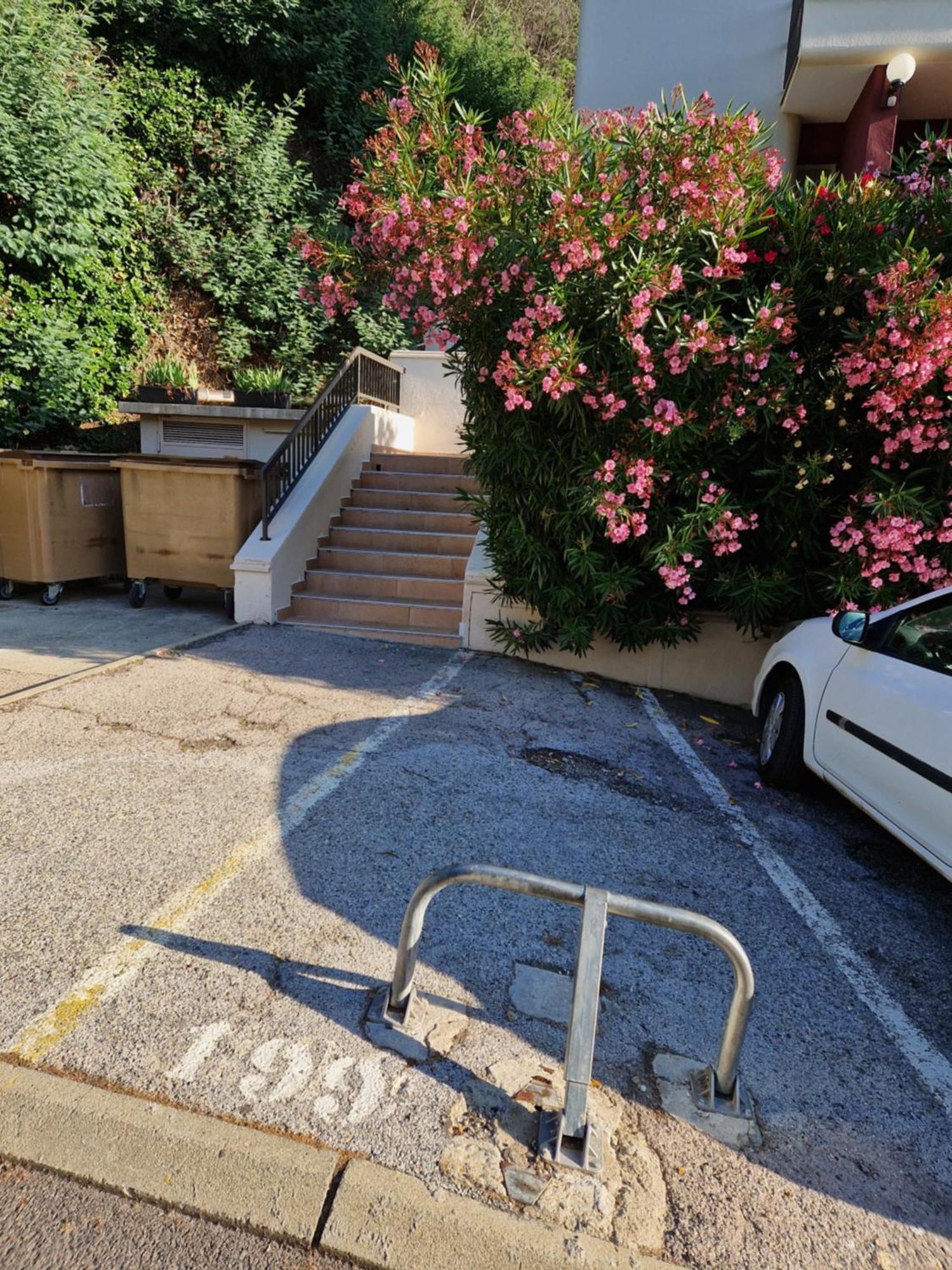 Appartement Amelie Les Bains Au Pied Des Thermes Bagian luar foto